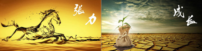 企業(yè)發(fā)展要學(xué)會取他人之長、補自己之短